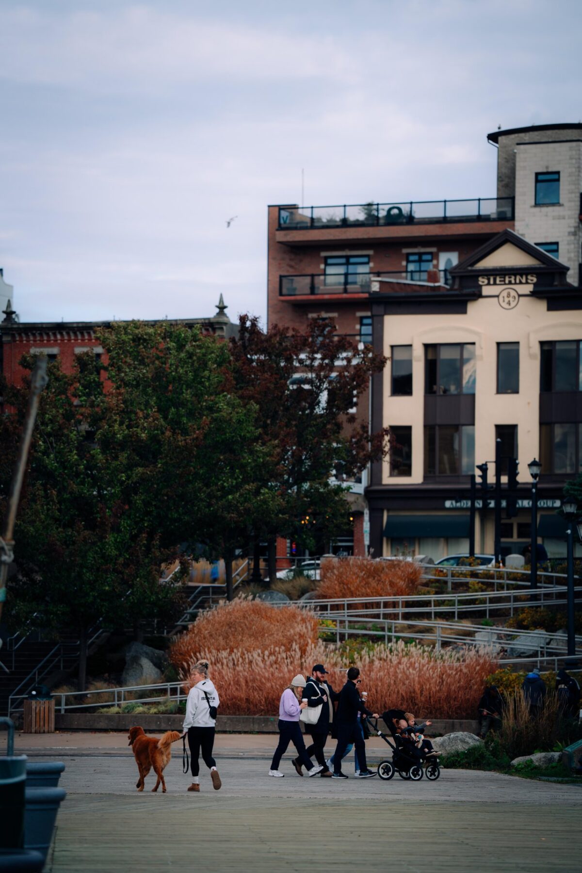 A person with a dog walking the Dartmouth Waterfront next to a family with a stroller out for a walk.