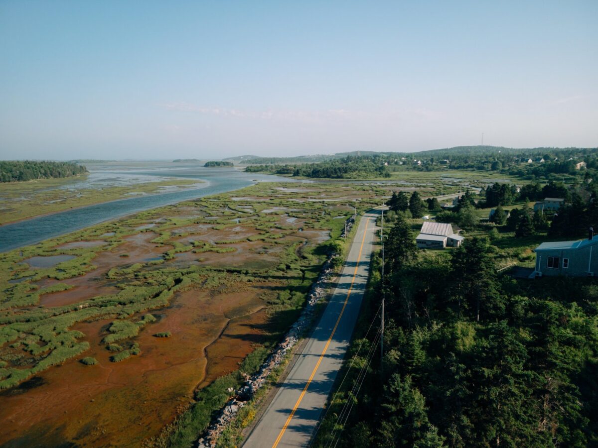 Coastal road winding through the Eastern Shore.