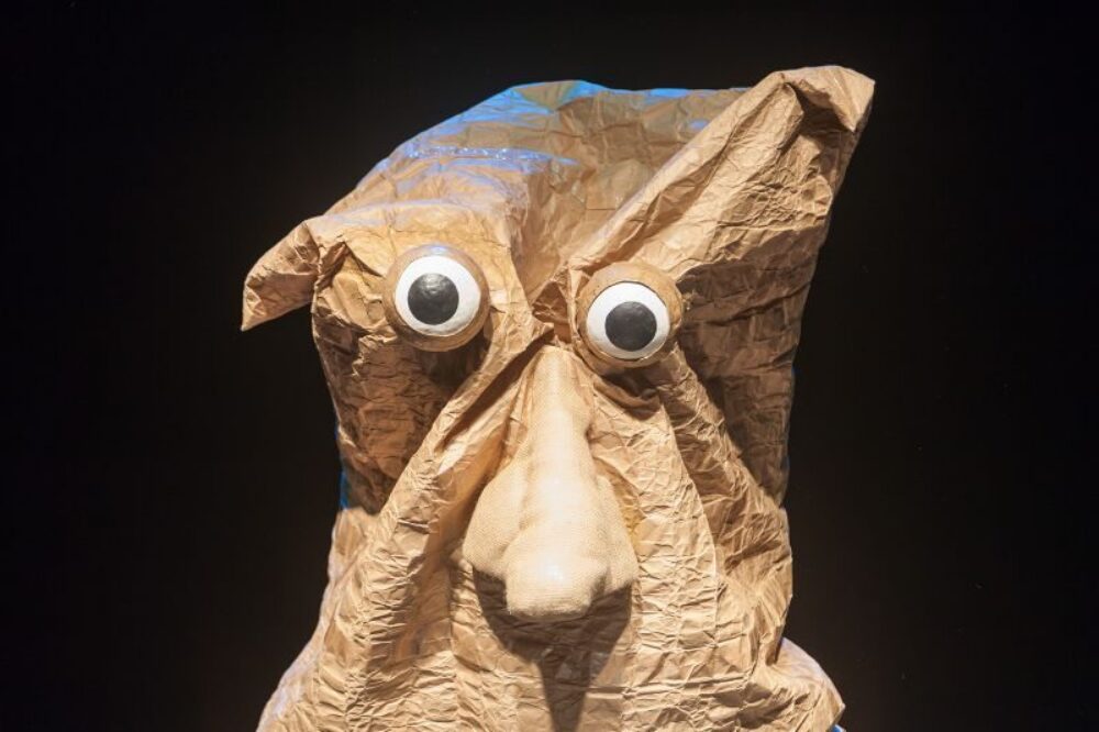 PAREIDOLIA image