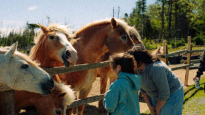 Where to See Animals in Halifax: Farms, Wildlife and Marine Life image