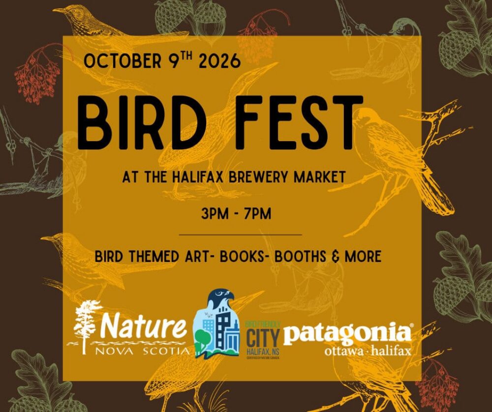 Halifax Bird Festival & Market image