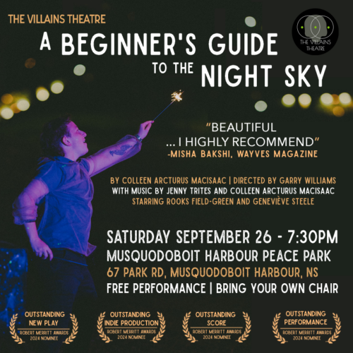 ‘A Beginner’s Guide to the Night Sky’ – a play under the stars image