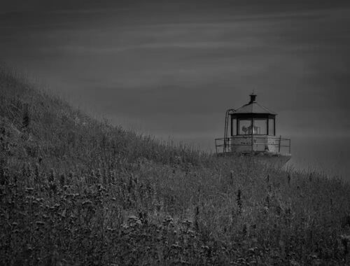 Movie Night on Georges Island image