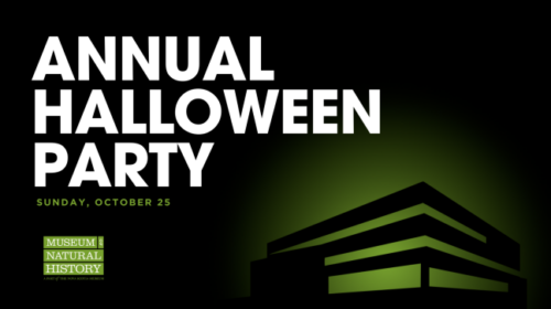 Annual Halloween Party at the Museum of Natural History image