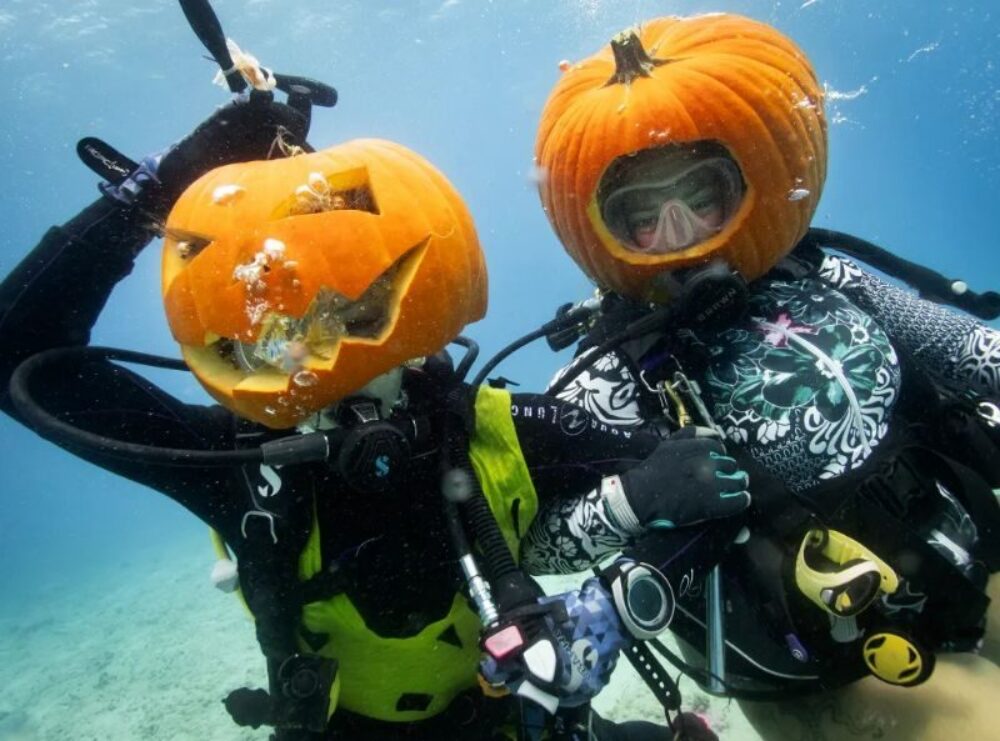 Pumpkin Carving Contest at Beaty Centre for Marine Biodiversity image